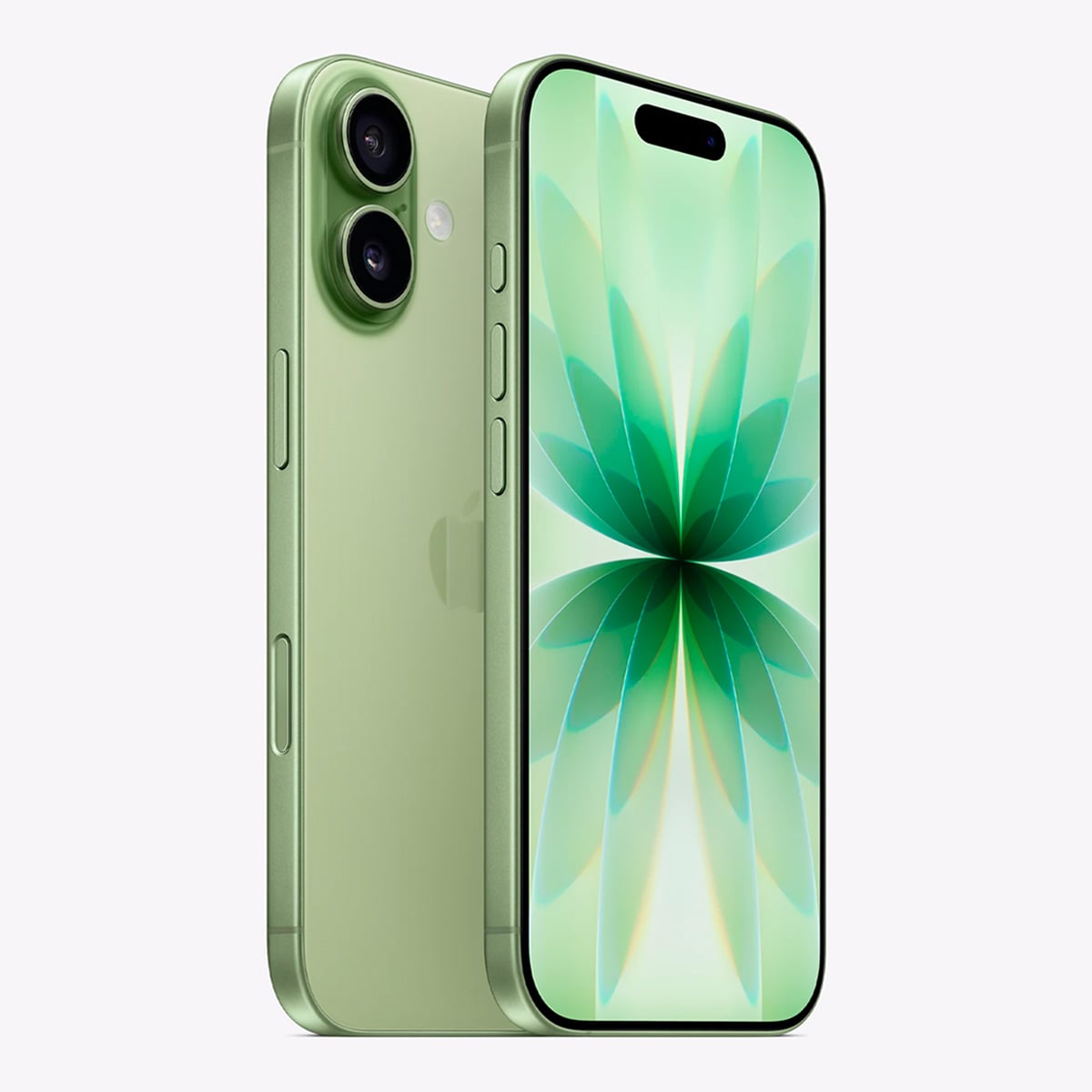 Купить iPhone 17 256 ГБ Sage в СПБ